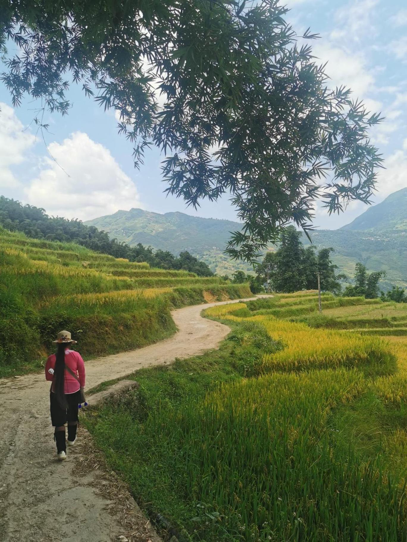 Surelee Homestay Sapa Exterior foto